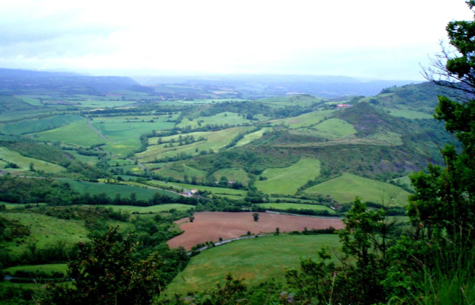 Domaine Du Vern سانت أفريك المظهر الخارجي الصورة