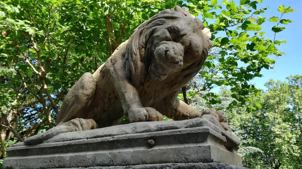 Domaine Du Vern سانت أفريك المظهر الخارجي الصورة